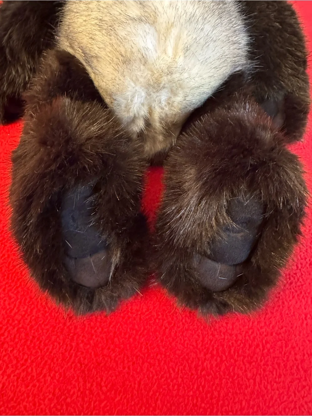NEW”  Charlie Bears Dennis Plumo Collection 22” CB181838 Limited Edition